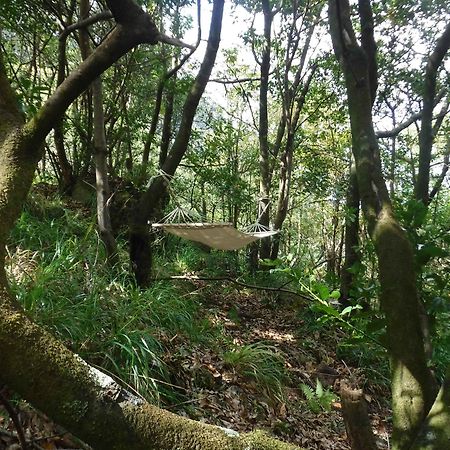 Nature Inn Madeira - Glamping Порту-Мониш Экстерьер фото