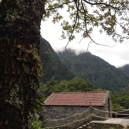Nature Inn Madeira - Glamping Порту-Мониш Экстерьер фото