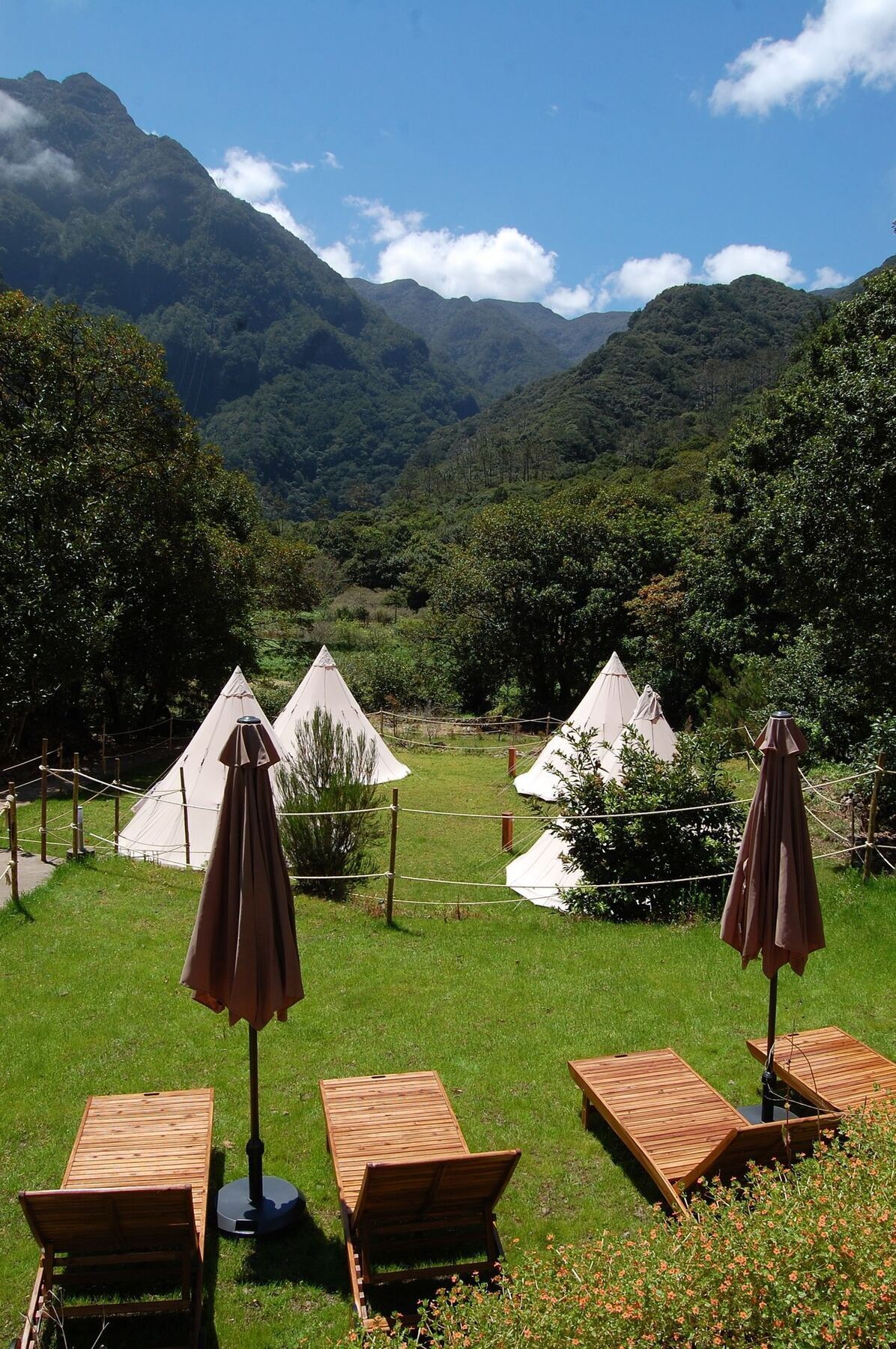 Nature Inn Madeira - Glamping Порту-Мониш Экстерьер фото