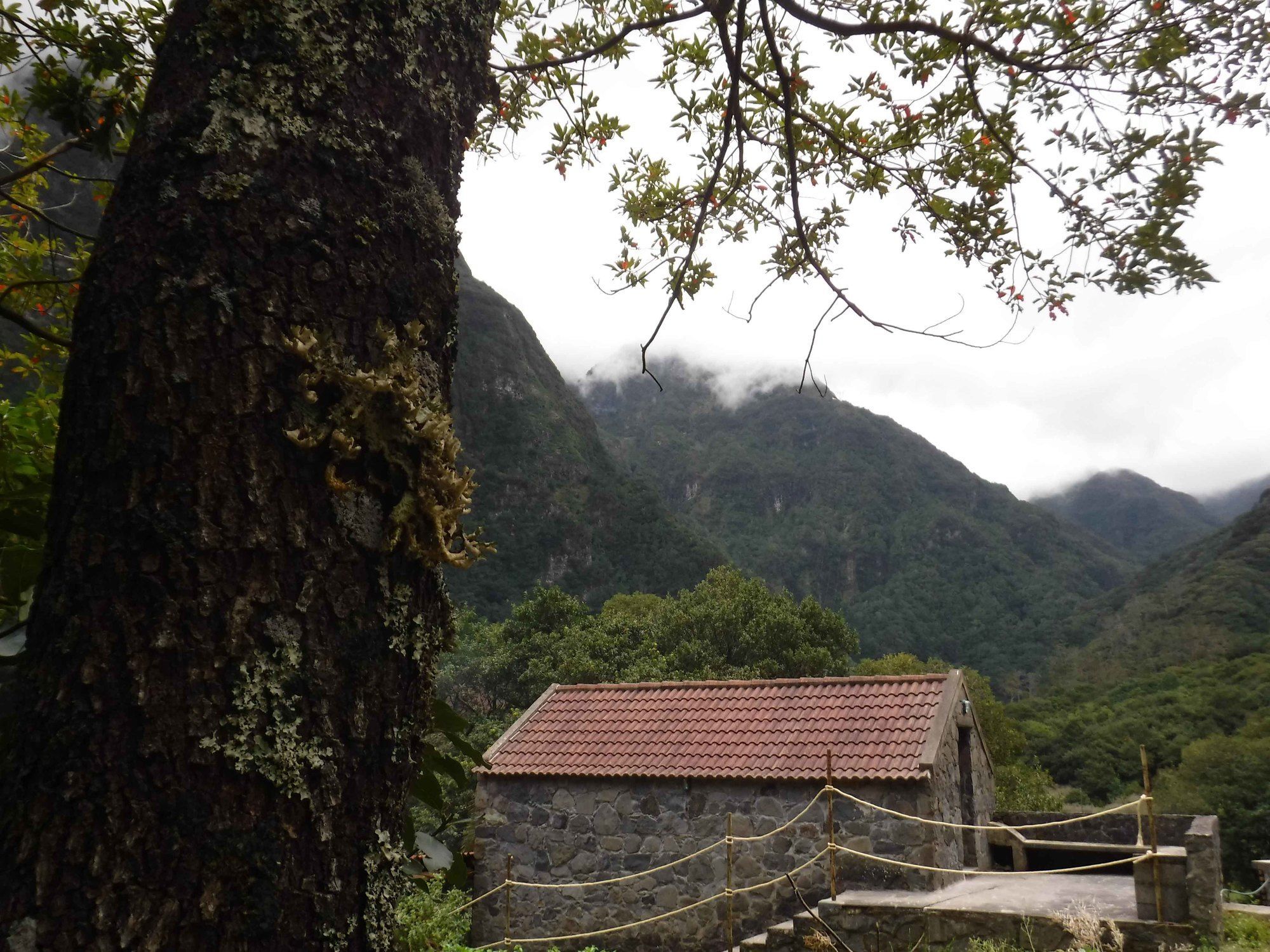 Nature Inn Madeira - Glamping Порту-Мониш Экстерьер фото